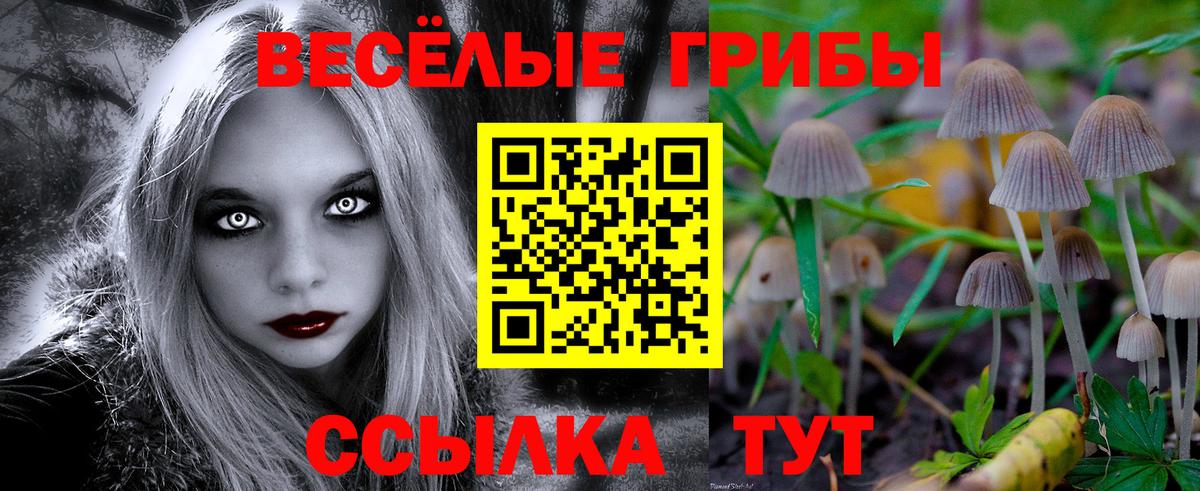 Галлюциногенные грибы Psilocybine cubensis Александров