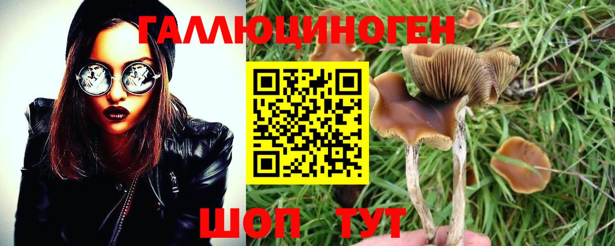 Александров  Псилоцибиновые грибы мухоморы  Вход с VPN 